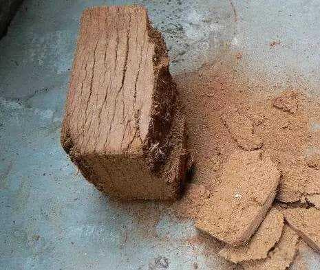 蚯蚓堆肥箱使用方法及常见问题解答