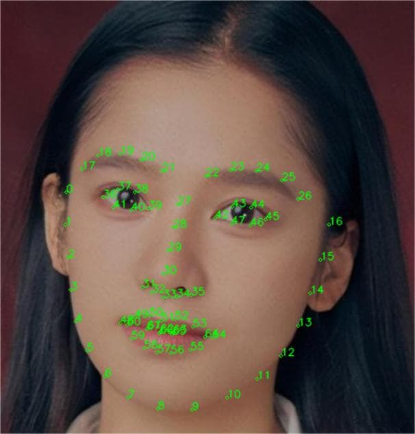 5步实现人脸轮廓绘制，简单易懂
