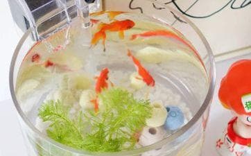 贴福字的风水讲究：从形状到位置的全方位指南