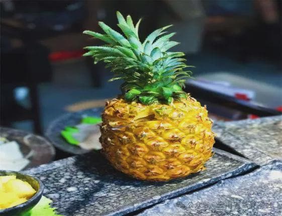 你和菠萝谁吃谁