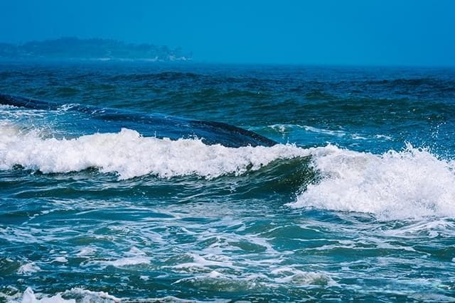 海水理化指标检测：海洋生态研究的关键基石