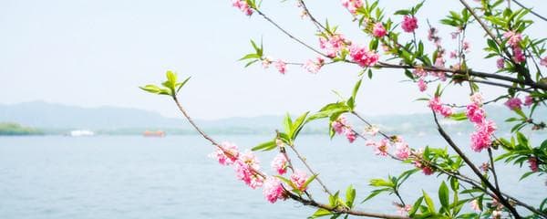 江苏300多家免费景点大盘点