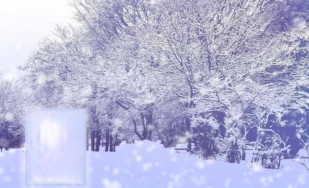 大雪节气，天冷了要进补，老传统要喝“羊肉汤”，教你正确做法