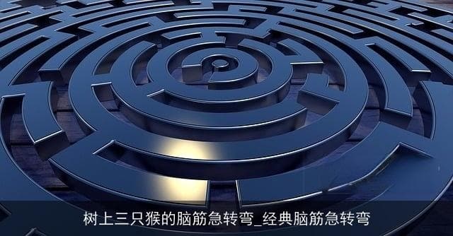 树上三只猴的脑筋急转弯：经典与智慧的碰撞