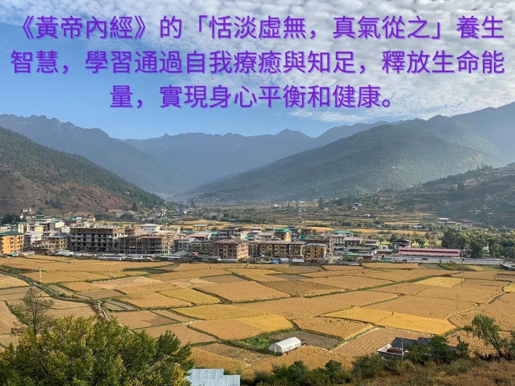 《黄帝内经》学养生：解密“恬淡虚无，真气从之”的生活智慧