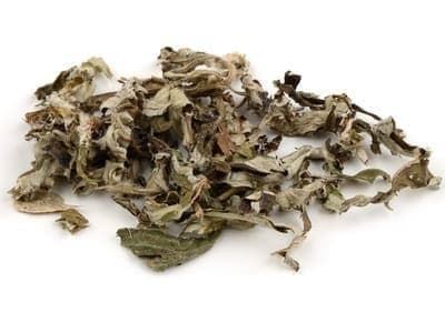 艾叶：传统中药的十种功效与现代应用指南