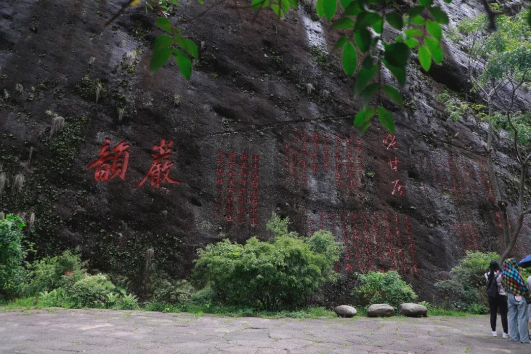 茶知识科普：5分钟认清武夷岩茶全部山场，6个顶级核心产区山场