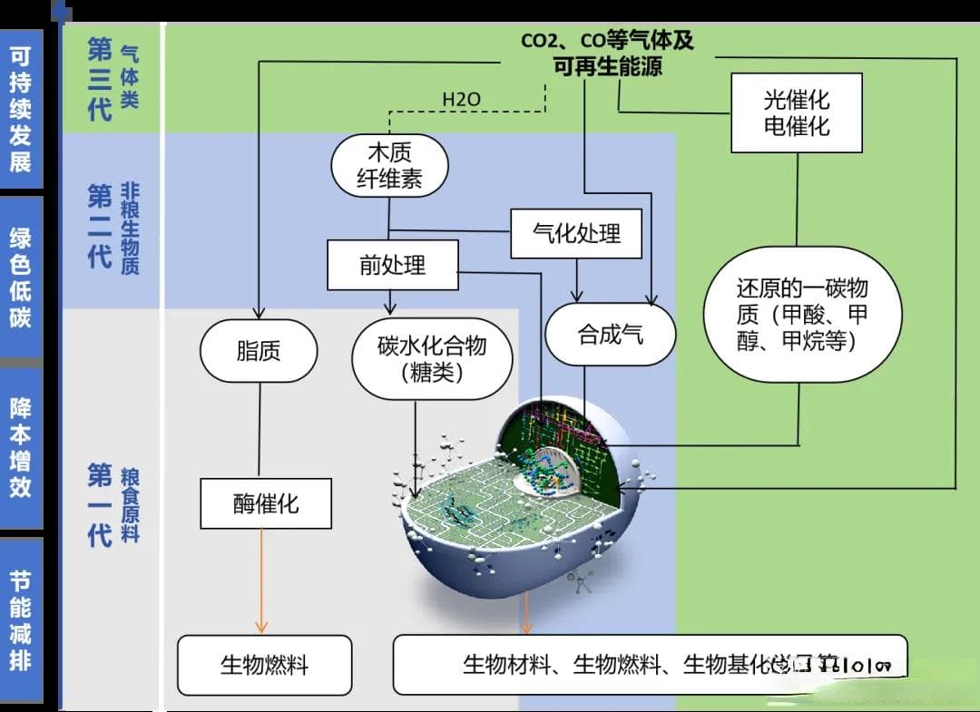 2025开年重磅：生物制造行业分析报告，全面解析十大关键议题