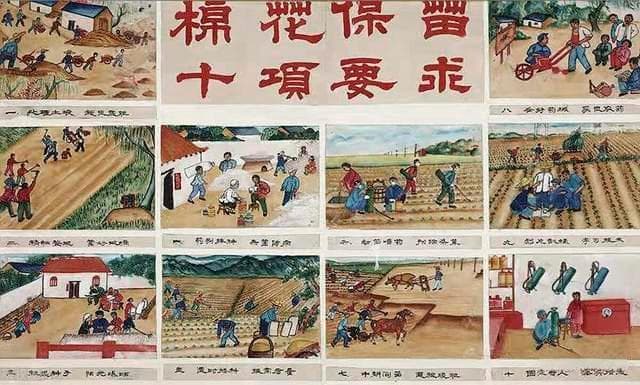 取消交公粮后，公粮能等同社保吗？交一辈子公粮能领多少养老金？