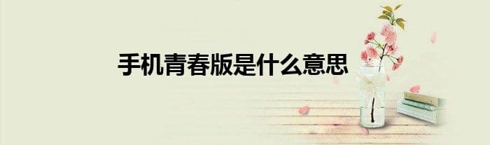 手机青春版是什么意思？