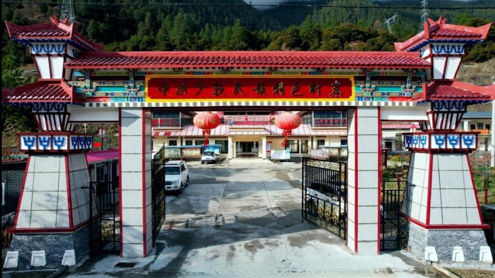 西藏林芝：灼灼桃花沁人心 门仲美景入画来