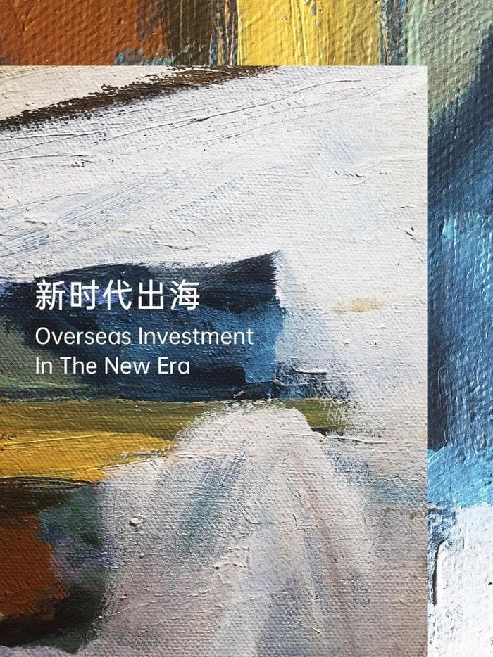 “新时代出海导航”之国别投资系列文集——越南篇