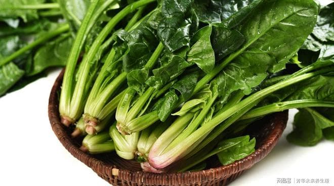 4月必吃的5种应季蔬菜，菠菜护眼、蕹菜清热，第3种被称为千金菜