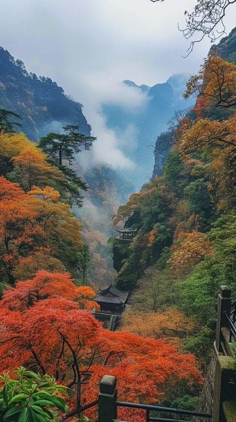 入秋必游秋天的黄山有多美？这份路线攻略带你领略！