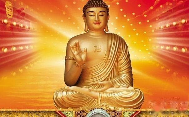 佛教的创立者释迦牟尼和达摩的关系