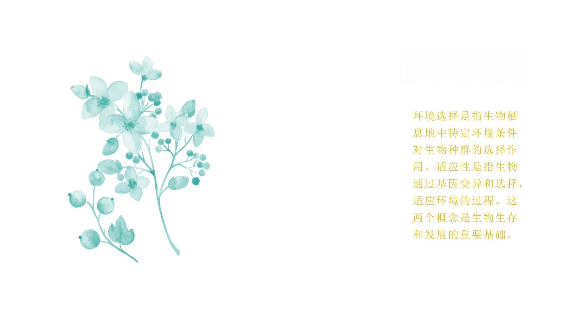 生物的环境选择和适应性