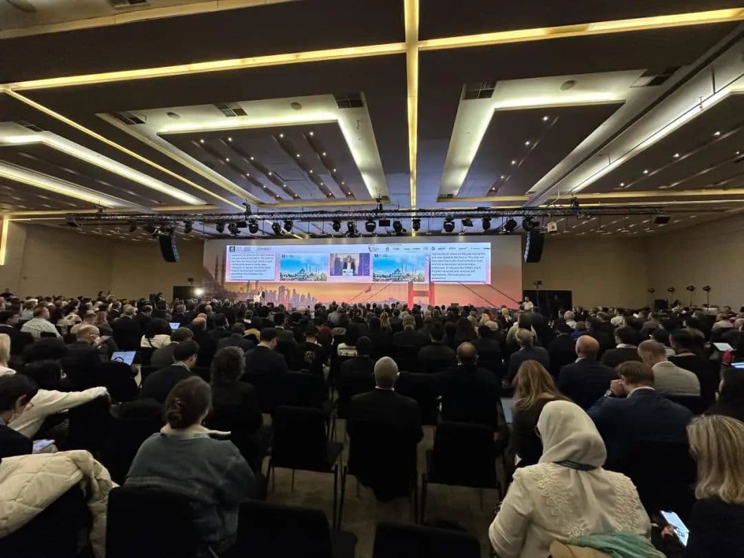 ICANN 81 | ZDNS专家深度参与第二轮全球顶级域名政策制定