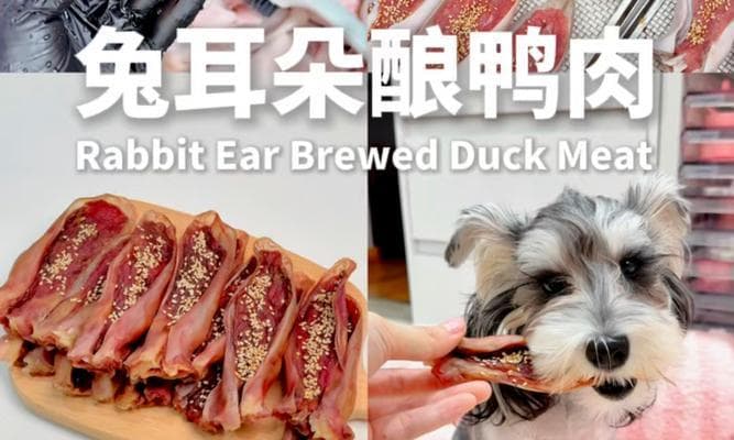 兔子的磨牙乐园：兔子拿什么磨牙？探讨兔子磨牙的重要性和方法