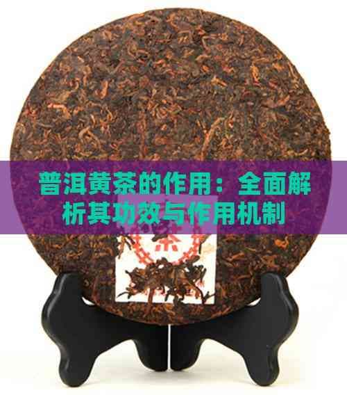 普洱黄茶的功效与作用：全面解析其健康价值