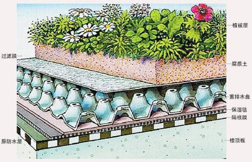 最实用的4种基于低影响开发的雨水利用技术