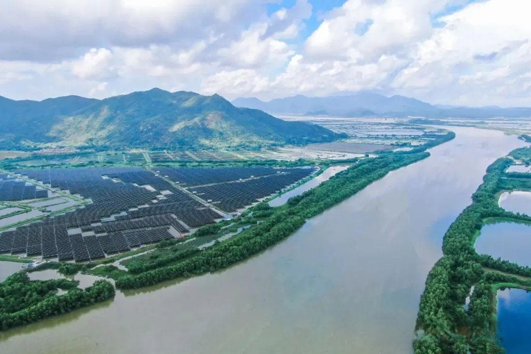 广东台山汶村镇：打造万亩红树林示范区，推动文旅融合发展