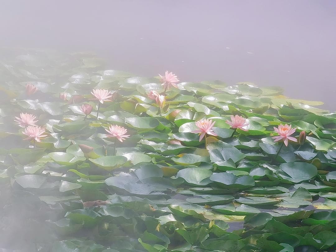 必要性，重要性，意义