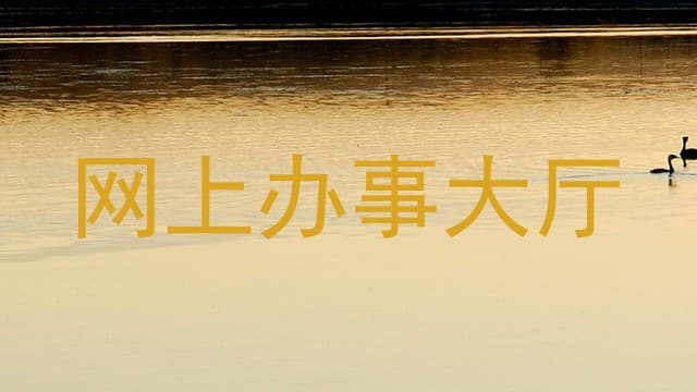 北京政务服务：“网上办事大厅”与“综合服务”融合提升效率