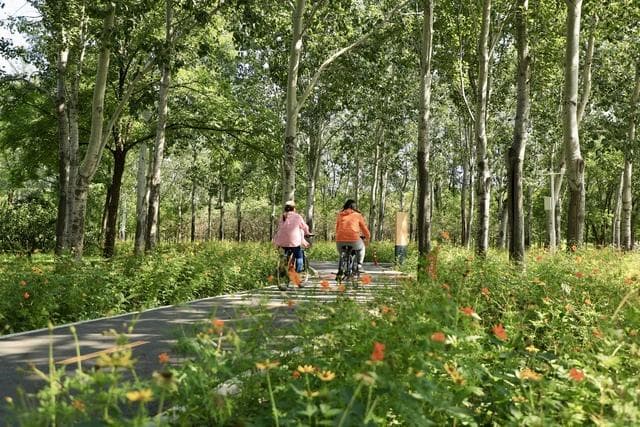 北京朝阳：无界公园、特色花路，打造城绿共生新典范