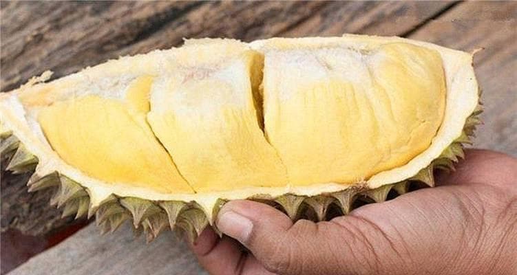 揭秘榴莲的甜度之谜（从品种到成熟度，一探榴莲甜度的奥秘）