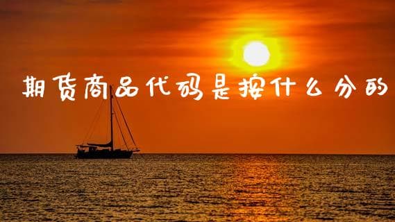 期货商品代码是按什么分的