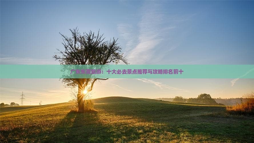 广东东莞旅游：十大必去景点推荐与攻略排名前十