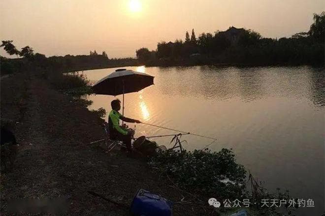 晚春夜钓水库，钓位选择3个方向，跟白天钓鱼有大区别
