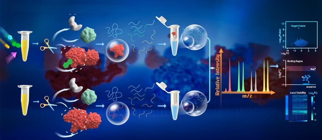 我科学家开发出蛋白质鉴定新方法