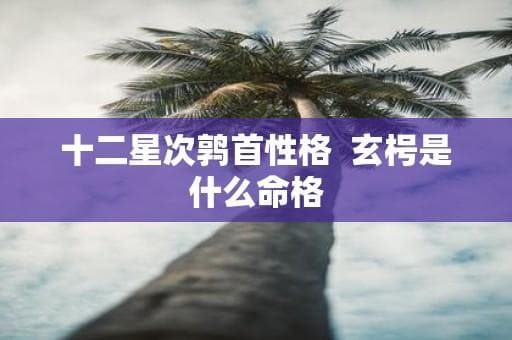 十二星次鹑首之玄枵：聪明敏感的命格解析
