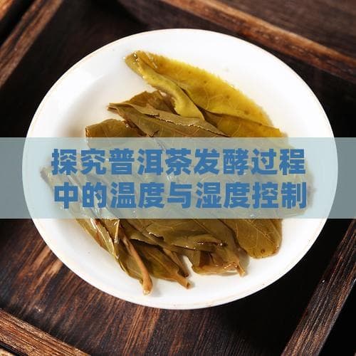 探究普洱茶发酵过程中的温度与湿度控制技巧