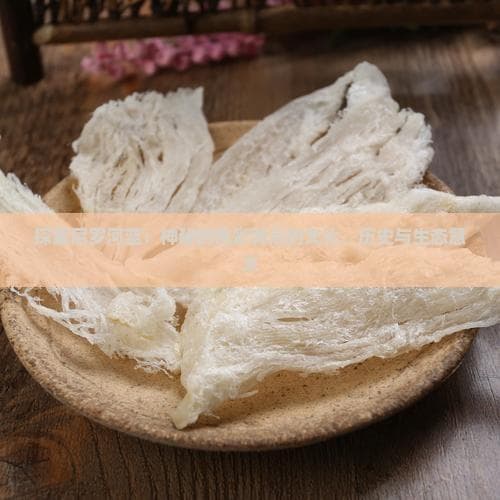 探索尼罗河蓝：神秘的色彩背后的文化、历史与生态意义