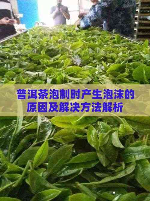 普洱茶泡制时产生泡沫的原因及解决方法解析