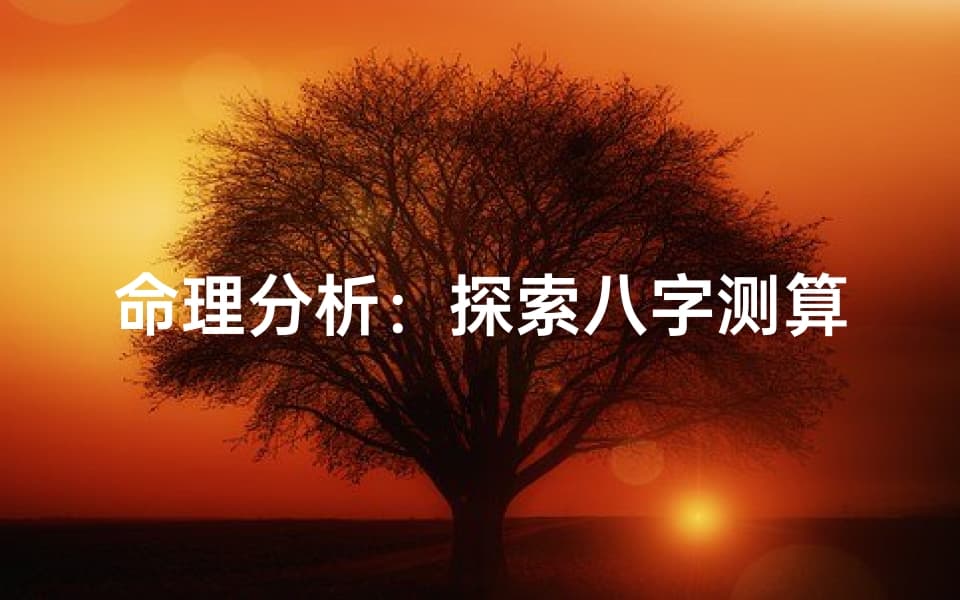 命理分析：探索八字测算与运程预测