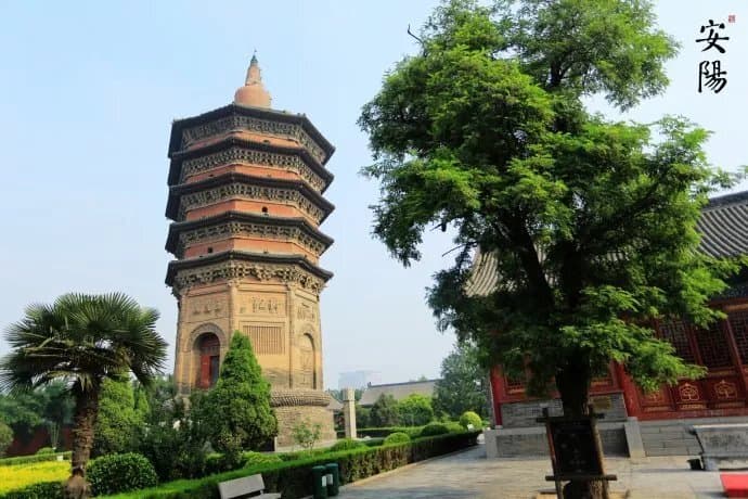 天选之地安阳不认输，更不服输！