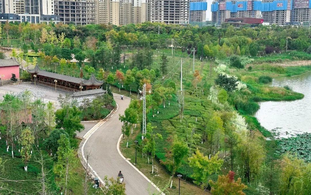 25周年｜推动建设面向碳中和的宜居城市