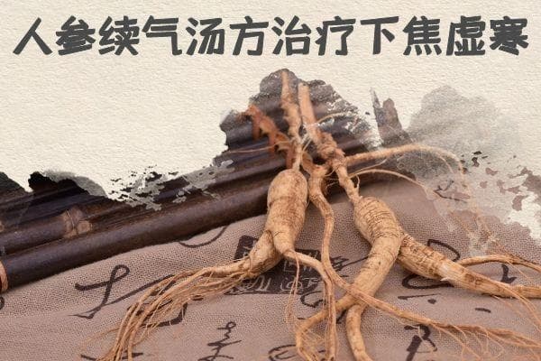 调理下焦虚寒的中药方剂有哪些？