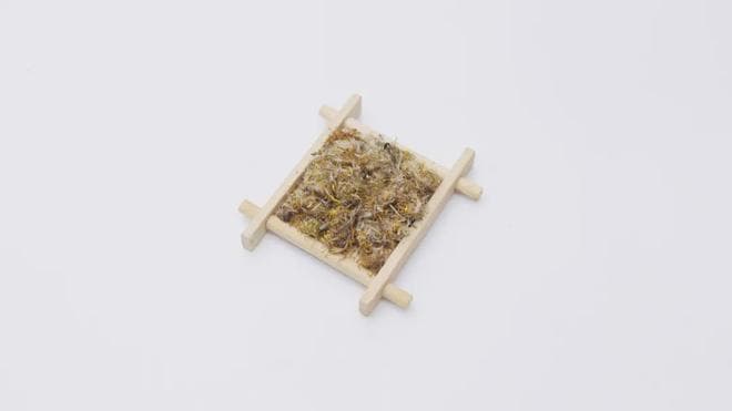 两味奇妙的中药，虽有些相似之处，但一个降气祛痰，一个清热解毒