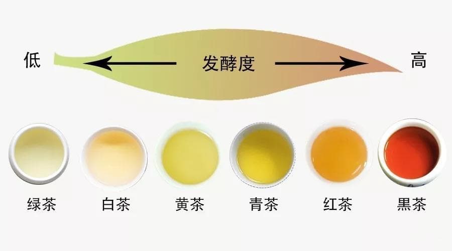 词汇 | 用英语怎么介绍中国茶文化？