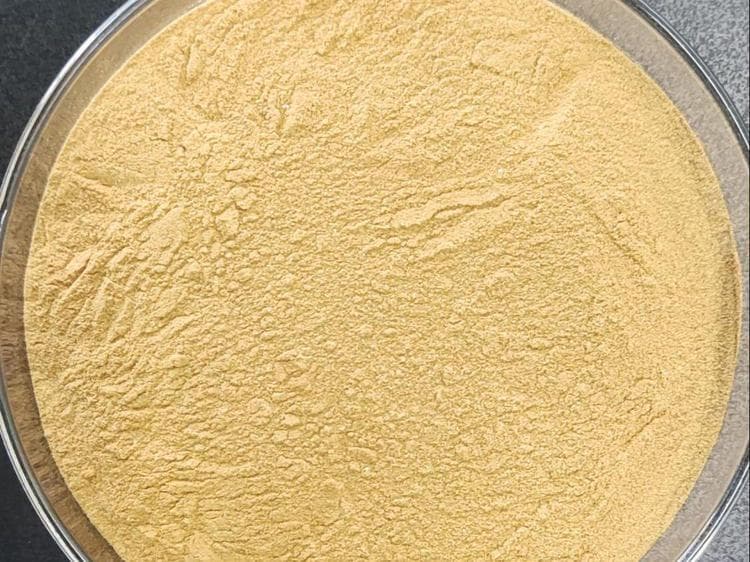 枯草芽孢杆菌：农业新利器