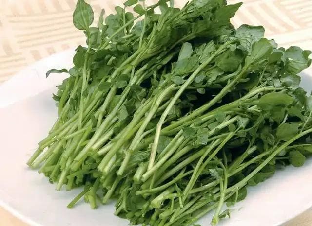 这种很难洗，营养却很好的蔬菜，你吃过吗？