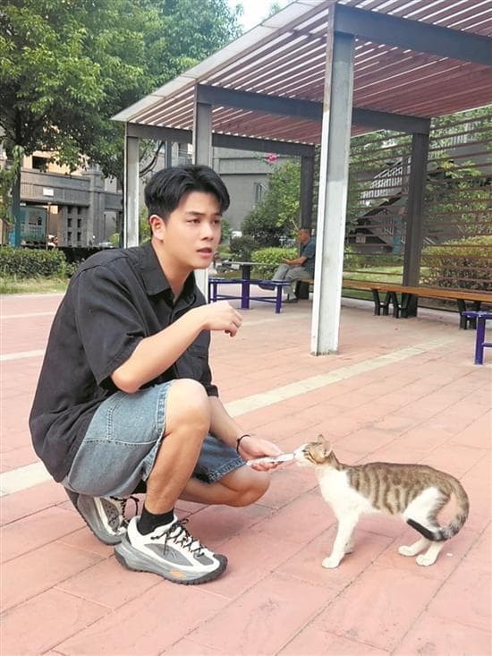 人和猫说话？“铲屎官”历时五年练成“喵语十级”