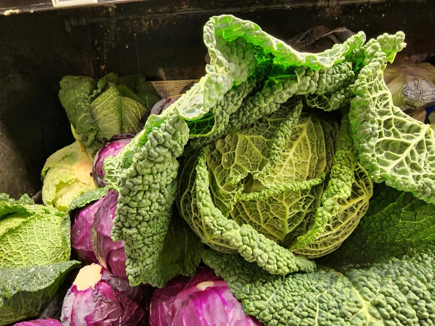 甘蓝山药双管齐下，胃疼不再来骚扰