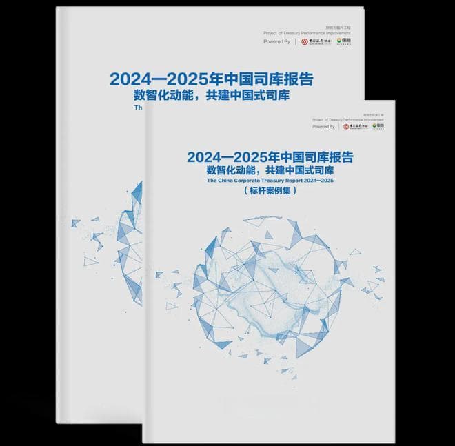 打造“5个池”，构建企业司库风险管理体系