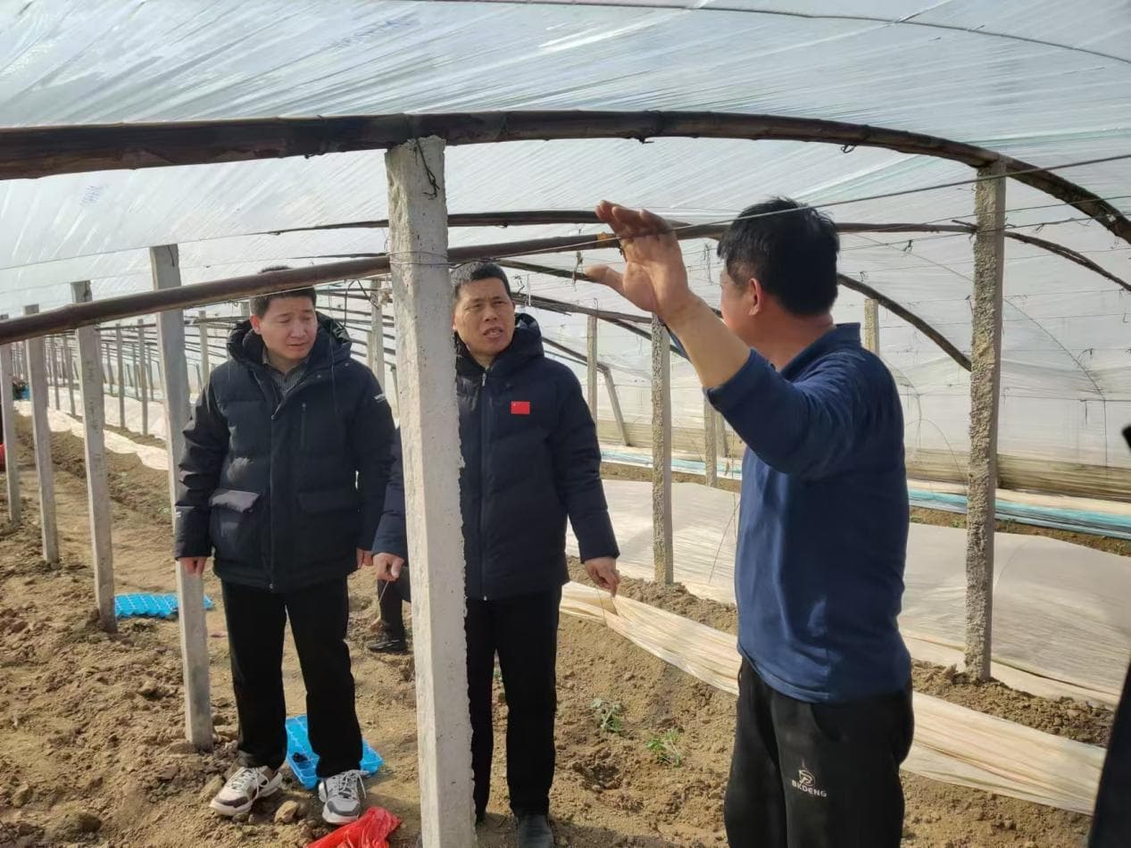 河北大名：农业专家现场指导西瓜种植 助力乡村振兴