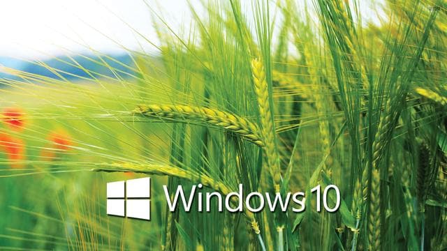 Windows 10打字不显示选字框怎么办？多种解决方案详解